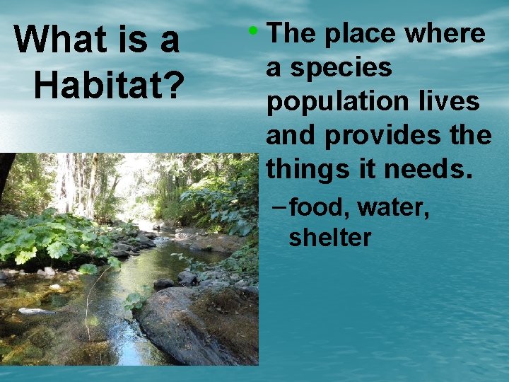 What is a Habitat? • The place where a species population lives and provides