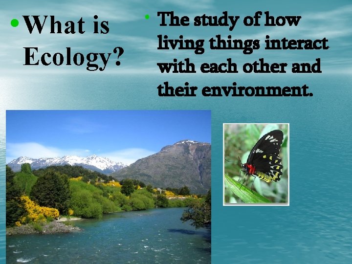  • What is Ecology? • The study of how living things interact with