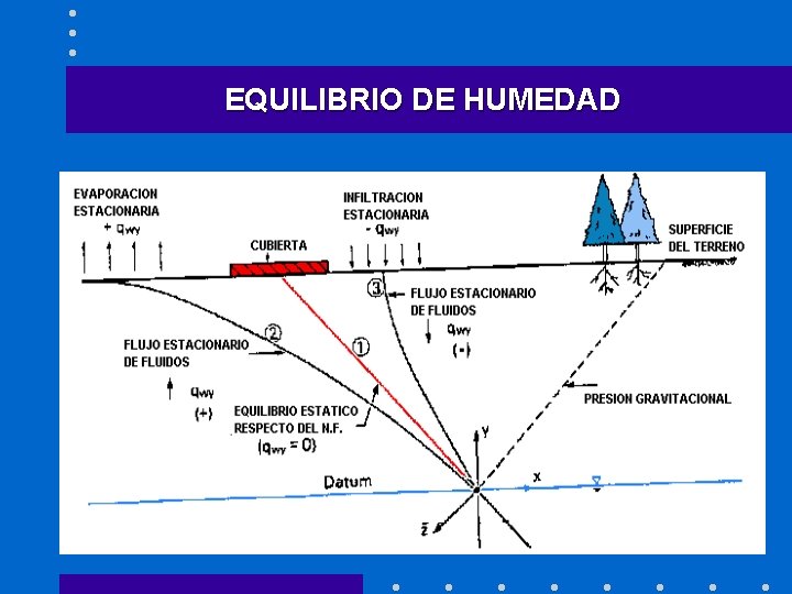 EQUILIBRIO DE HUMEDAD 