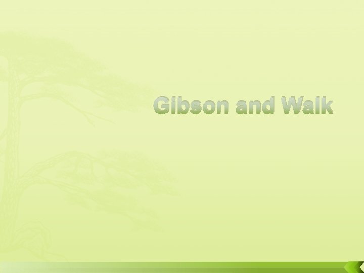 Gibson and Walk 