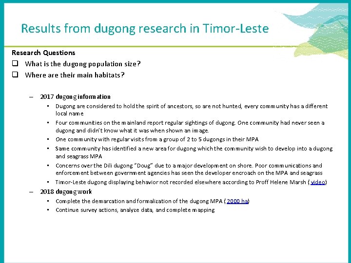 Results from dugong research in Timor-Leste Research Questions q What is the dugong population