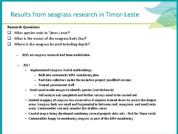 Results from seagrass research in Timor-Leste Research Questions q What species exist in Timor-Leste?