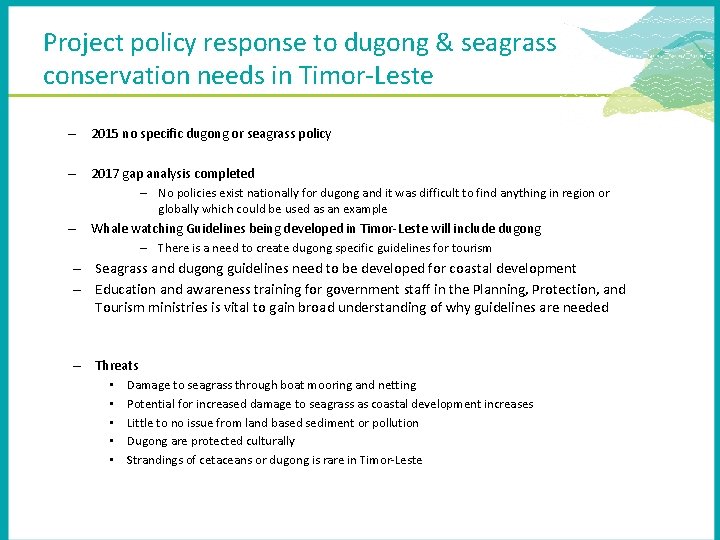 Project policy response to dugong & seagrass conservation needs in Timor-Leste – 2015 no