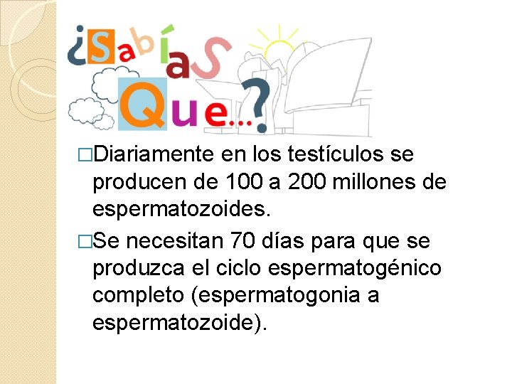 �Diariamente en los testículos se producen de 100 a 200 millones de espermatozoides. �Se