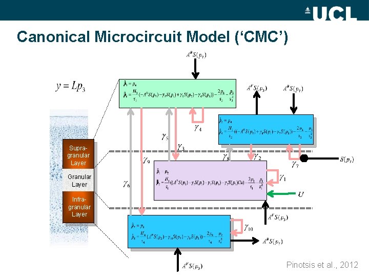 Canonical Microcircuit Model (‘CMC’) Supragranular Layer Granular Layer Infragranular Layer Pinotsis et al. ,