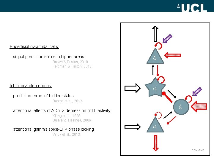 Superficial pyramidal cells: signal prediction errors to higher areas Brown & Friston, 2010 Feldman