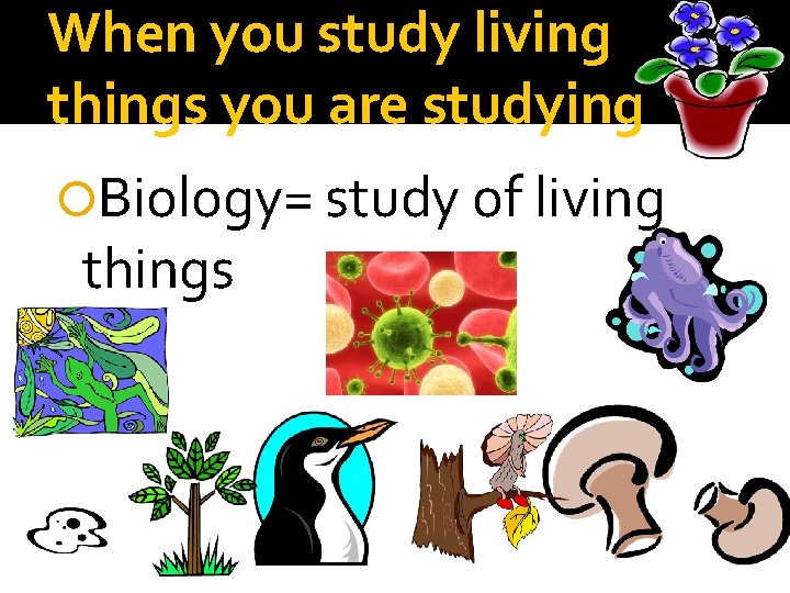 When you study living things you are studying Biology= study of living things When you study living things you are studying Biology= study of living things