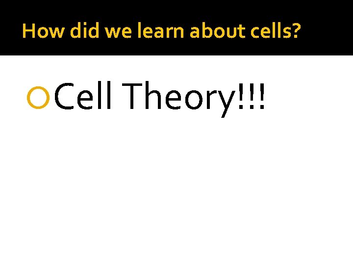 How did we learn about cells? Cell Theory!!! How did we learn about cells? Cell Theory!!!