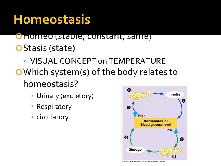 Homeostasis Homeo (stable, constant, same) Stasis (state) • VISUAL CONCEPT on TEMPERATURE Which system(s) Homeostasis Homeo (stable, constant, same) Stasis (state) • VISUAL CONCEPT on TEMPERATURE Which system(s)