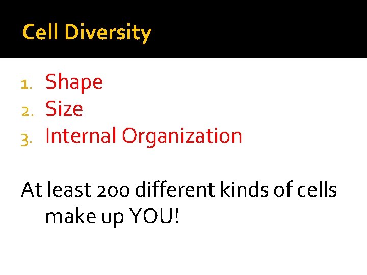 Cell Diversity 1. 2. 3. Shape Size Internal Organization At least 200 different kinds Cell Diversity 1. 2. 3. Shape Size Internal Organization At least 200 different kinds