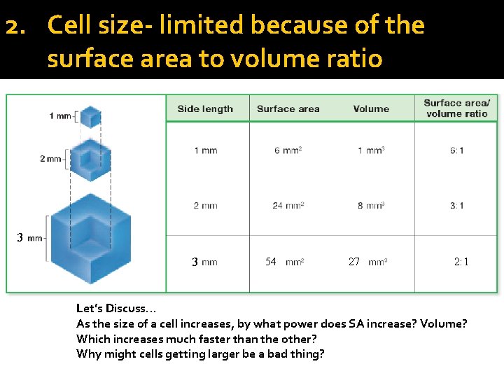 2. Cell size- limited because of the surface area to volume ratio 3 3 2. Cell size- limited because of the surface area to volume ratio 3 3