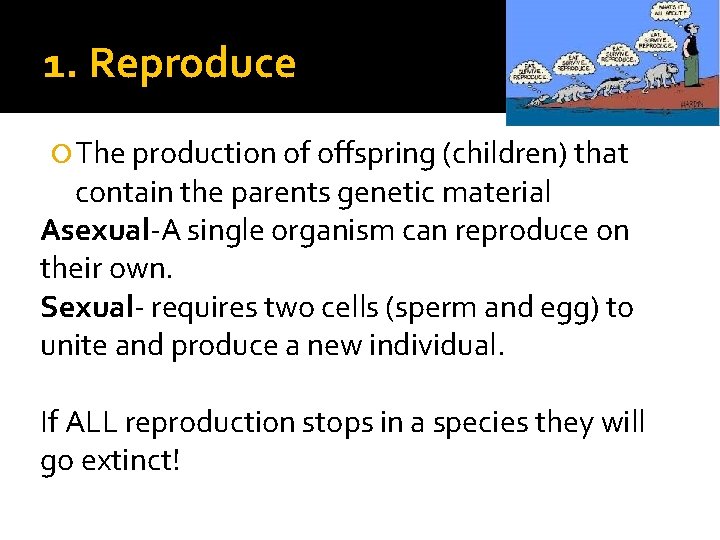 1. Reproduce The production of offspring (children) that contain the parents genetic material Asexual-A 1. Reproduce The production of offspring (children) that contain the parents genetic material Asexual-A