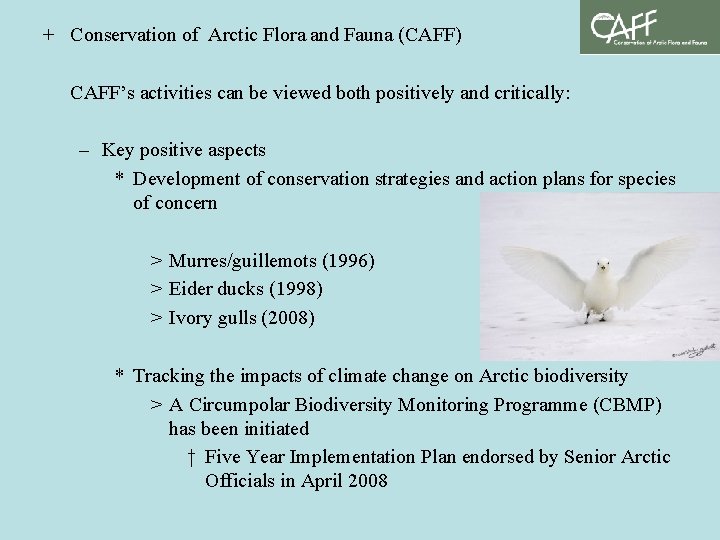 + Conservation of Arctic Flora and Fauna (CAFF) CAFF’s activities can be viewed both