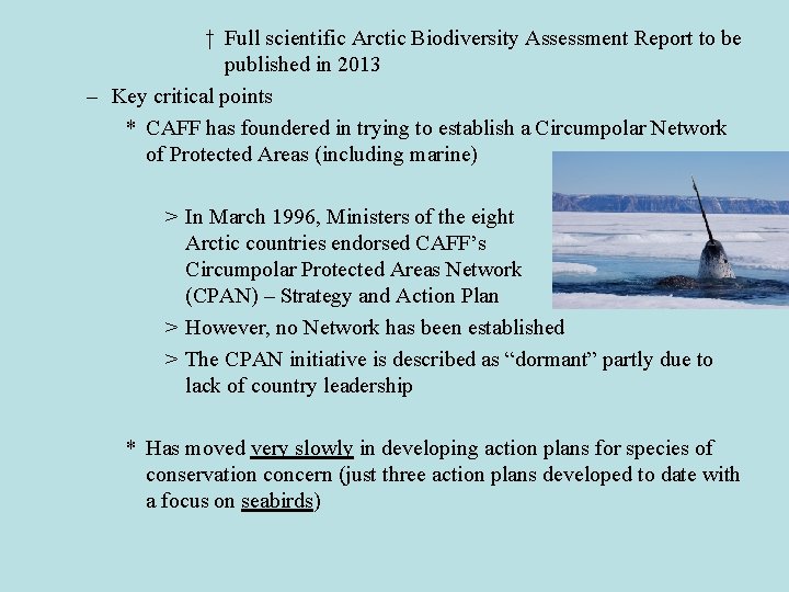 † Full scientific Arctic Biodiversity Assessment Report to be published in 2013 – Key