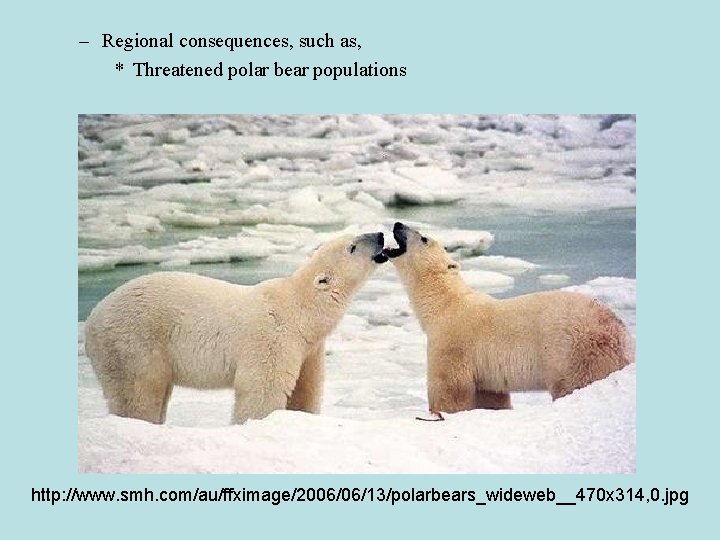 – Regional consequences, such as, * Threatened polar bear populations http: //www. smh. com/au/ffximage/2006/06/13/polarbears_wideweb__470