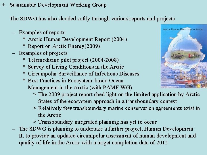 + Sustainable Development Working Group The SDWG has also sledded softly through various reports