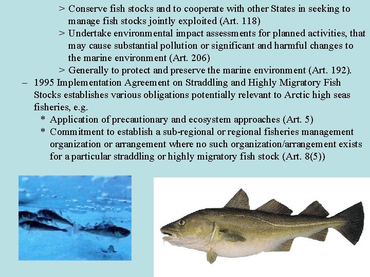 > Conserve fish stocks and to cooperate with other States in seeking to manage