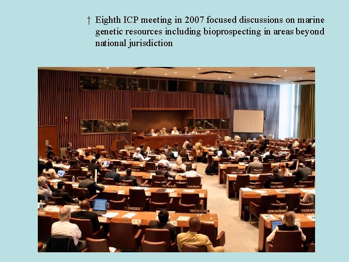 † Eighth ICP meeting in 2007 focused discussions on marine genetic resources including bioprospecting