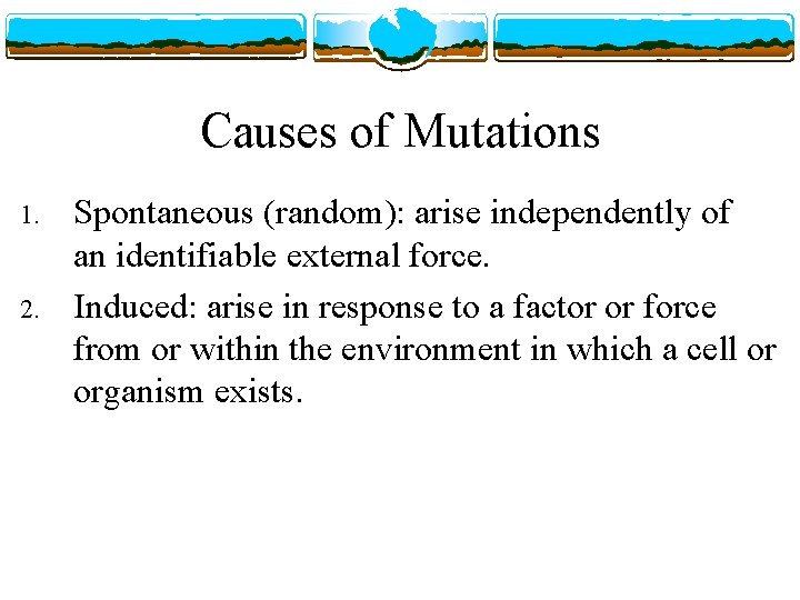 Causes of Mutations 1. 2. Spontaneous (random): arise independently of an identifiable external force.