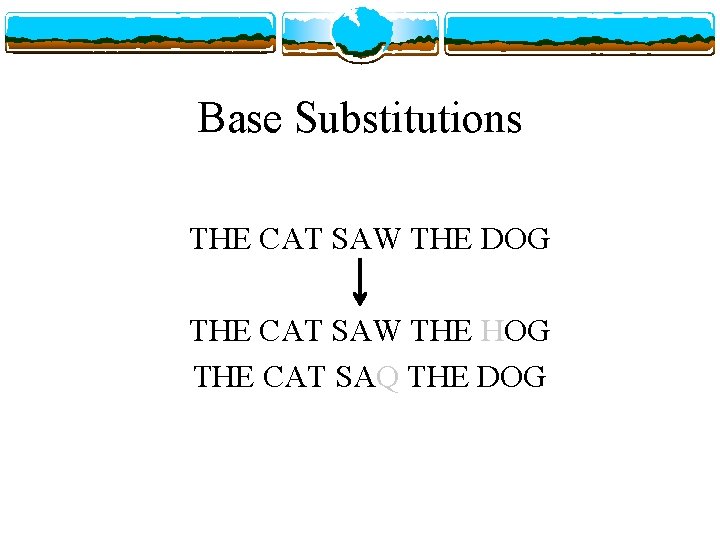 Base Substitutions THE CAT SAW THE DOG THE CAT SAW THE HOG THE CAT