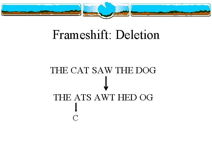 Frameshift: Deletion THE CAT SAW THE DOG THE ATS AWT HED OG C 