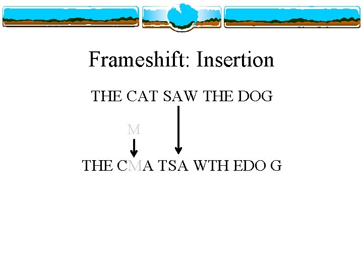 Frameshift: Insertion THE CAT SAW THE DOG M THE CMA TSA WTH EDO G