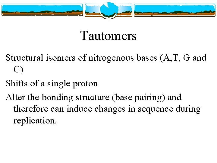 Tautomers Structural isomers of nitrogenous bases (A, T, G and C) Shifts of a