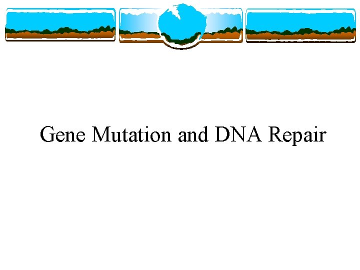 Gene Mutation and DNA Repair 