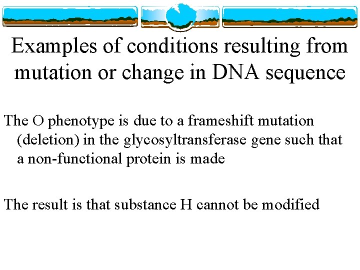 Examples of conditions resulting from mutation or change in DNA sequence The O phenotype