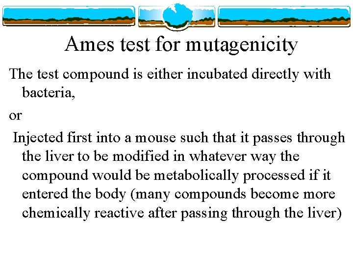 Ames test for mutagenicity The test compound is either incubated directly with bacteria, or