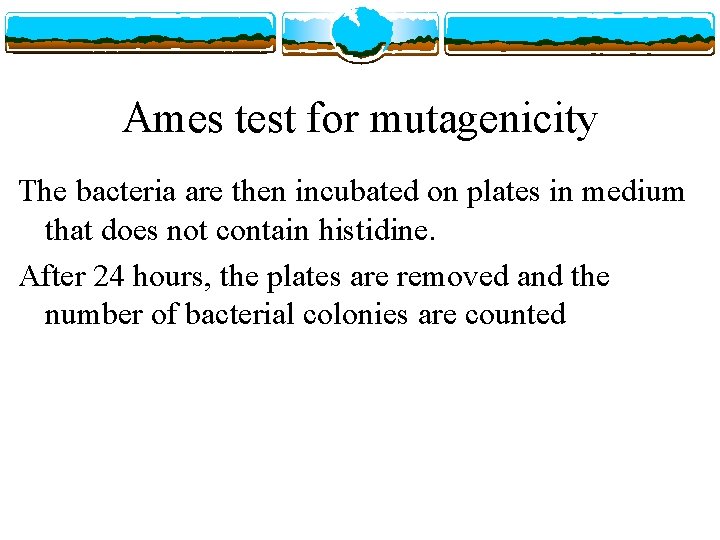 Ames test for mutagenicity The bacteria are then incubated on plates in medium that