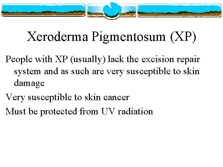 Xeroderma Pigmentosum (XP) People with XP (usually) lack the excision repair system and as