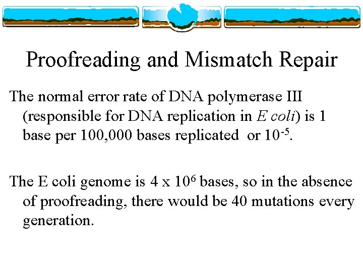 Proofreading and Mismatch Repair The normal error rate of DNA polymerase III (responsible for