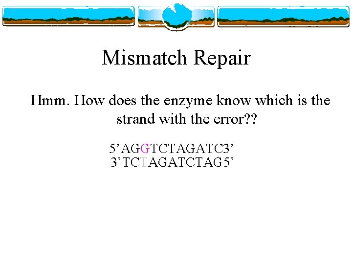 Mismatch Repair Hmm. How does the enzyme know which is the strand with the