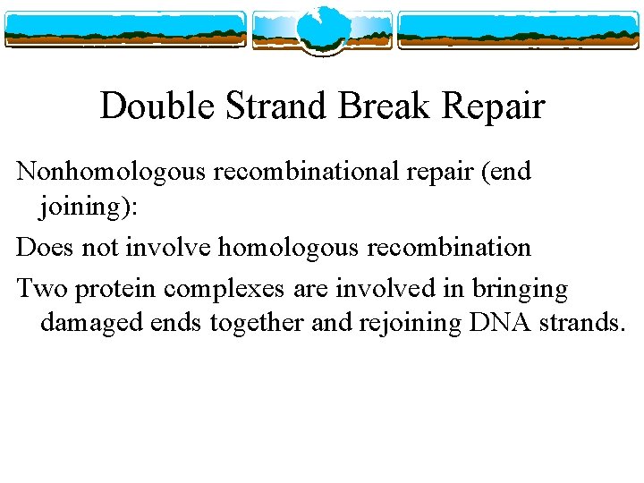 Double Strand Break Repair Nonhomologous recombinational repair (end joining): Does not involve homologous recombination