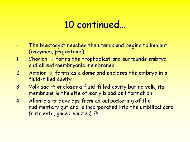 10 continued… • 1. 2. 3. 4. The blastocyst reaches the uterus and begins