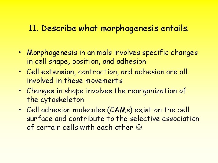 11. Describe what morphogenesis entails. • Morphogenesis in animals involves specific changes in cell