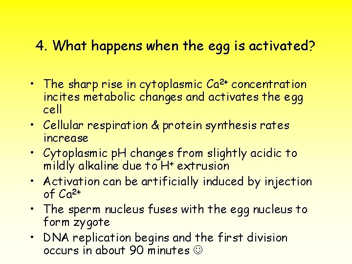 4. What happens when the egg is activated? • The sharp rise in cytoplasmic