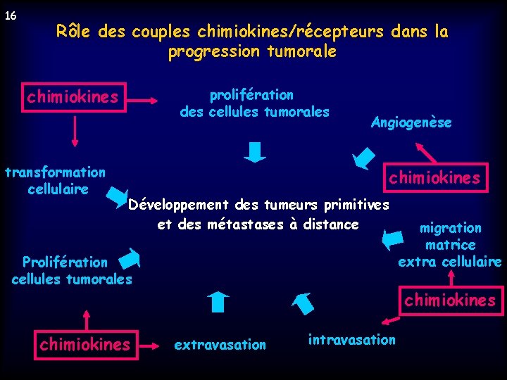 16 Rôle des couples chimiokines/récepteurs dans la progression tumorale chimiokines transformation cellulaire prolifération des