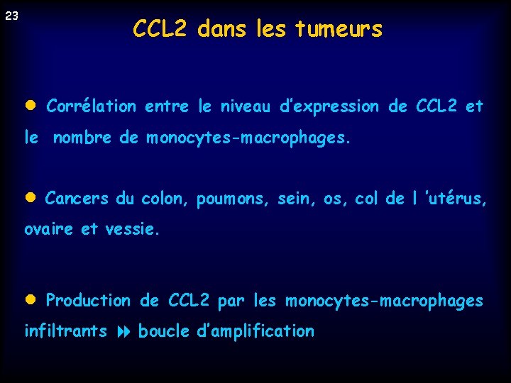 23 CCL 2 dans les tumeurs l Corrélation entre le niveau d’expression de CCL