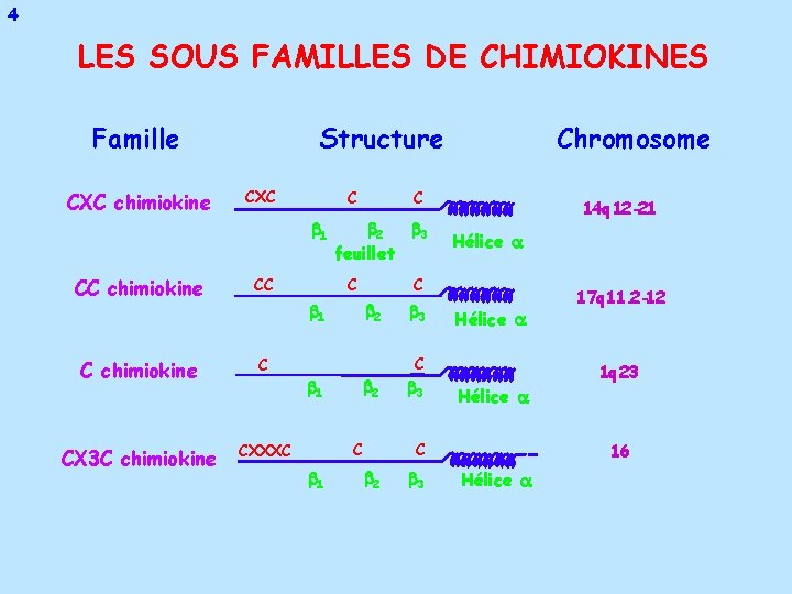 4 LES SOUS FAMILLES DE CHIMIOKINES Famille CXC chimiokine Structure CXC C 1 CC