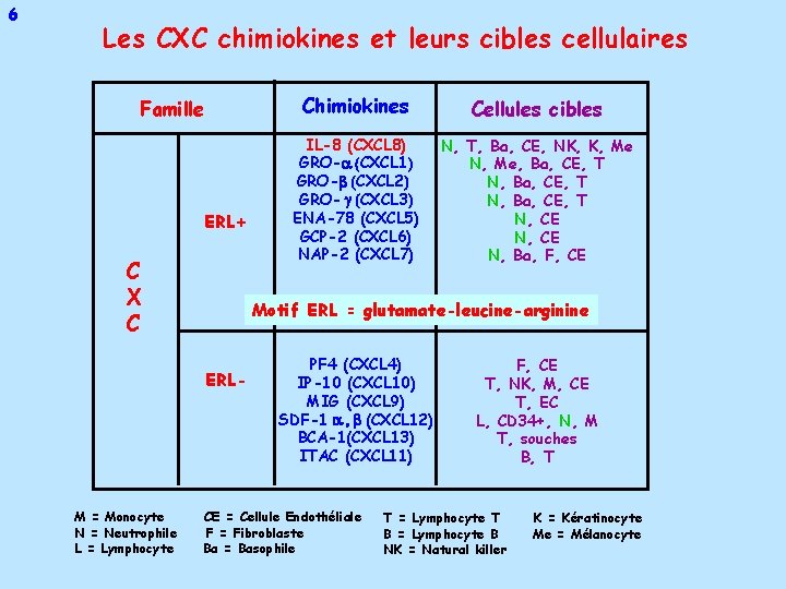 6 Les CXC chimiokines et leurs cibles cellulaires Famille ERL+ C X C Cellules