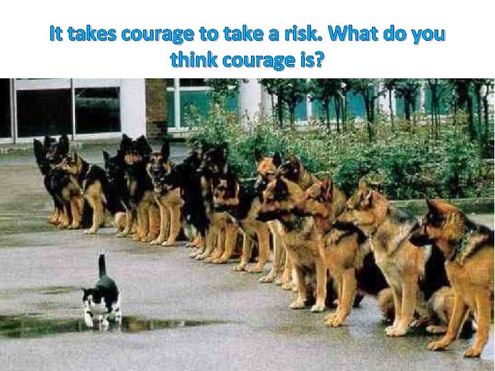 It takes courage to take a risk. What do you think courage is? Going