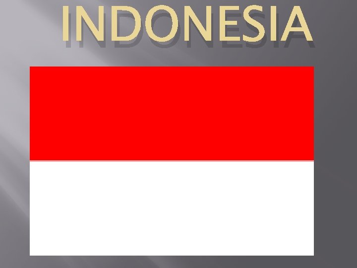 INDONESIA 