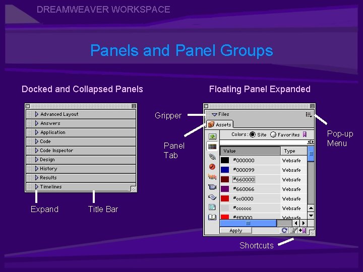 DREAMWEAVER WORKSPACE Panels and Panel Groups Docked and Collapsed Panels Floating Panel Expanded Gripper