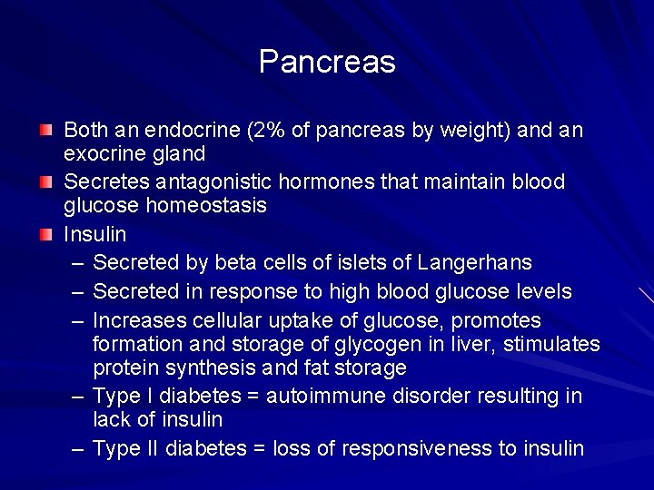 Pancreas Both an endocrine (2% of pancreas by weight) and an exocrine gland Secretes