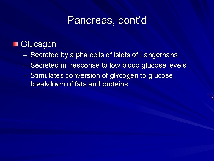 Pancreas, cont’d Glucagon – Secreted by alpha cells of islets of Langerhans – Secreted