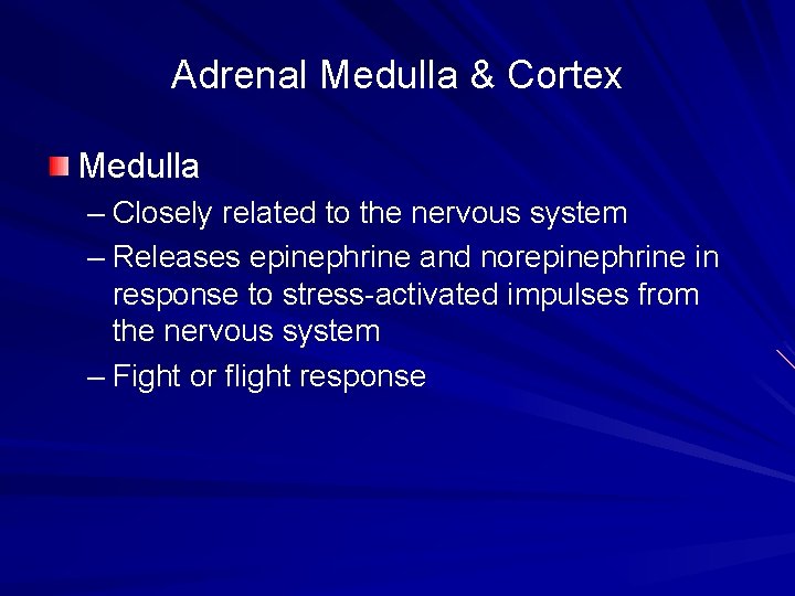 Adrenal Medulla & Cortex Medulla – Closely related to the nervous system – Releases Adrenal Medulla & Cortex Medulla – Closely related to the nervous system – Releases