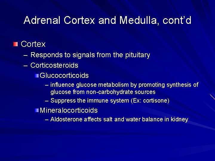 Adrenal Cortex and Medulla, cont’d Cortex – Responds to signals from the pituitary – Adrenal Cortex and Medulla, cont’d Cortex – Responds to signals from the pituitary –