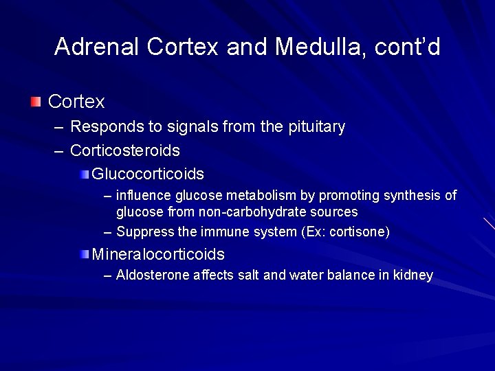 Adrenal Cortex and Medulla, cont’d Cortex – Responds to signals from the pituitary –